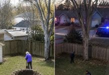 MEINE NACHBARIN GRUB JEDES WOCHENENDE LÖCHER IN IHREM GARTEN – DOCH DANN STAND EINES MORGENS PLÖTZLICH DIE POLIZEI VOR IHRER TÜR