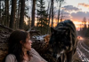 Der Ehemann ließ seine schwangere Frau allein im Wald zurück, in der Hoffnung, sie loszuwerden und ihr gesamtes Vermögen an sich zu bringen. Als die Nacht hereinbrach, tauchte plötzlich ein riesiger Wolf aus den Tiefen des Waldes auf – und was danach geschah, war erschreckend.