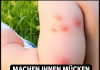 MACHEN IHNEN MÜCKEN DAS LEBEN ZUR HÖLLE? Schneiden Sie einfach DIESE FRUCHT in zwei Hälften und legen Sie sie ins Zimmer – SIE WERDEN NIE WIEDER EINE MÜCKE IN IHRER NÄHE SEHEN!