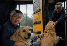 Ich konnte mit dem Hund, den mein verstorbener Mann mehr liebte als alles andere, einfach nicht mehr zurechtkommen. Doch als ich beschloss, ihn wegzugeben, entdeckte ich endlich den wahren Grund, warum er monatelang verzweifelt jeden Schulbus angebellt hatte.