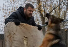 Nur wollte ich meine alte Matratze wegwerfen, die bereits an mehreren Stellen eingerissen war, doch mein Hund biss seine Zähne hinein und ließ mich keinen einzigen Schritt weitergehen. In diesem Moment verstand ich noch immer nicht, warum er sich so seltsam verhielt, doch nur wenige Minuten später bereute ich es, überhaupt beschlossen zu haben, die Matratze aus dem Haus zu tragen. 😨😨