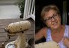 Meine Nachbarin überredete mich, ihr den Mixer meiner verstorbenen Mutter zu leihen – dann machte sie ihn kaputt, stellte ihn schmutzig auf meine Veranda und brachte mich irgendwie dazu, mich zu fragen, ob das Absicht gewesen war