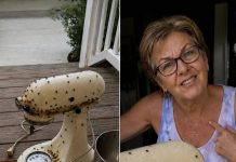 Meine Nachbarin überredete mich, ihr den Mixer meiner verstorbenen Mutter zu leihen – dann machte sie ihn kaputt, stellte ihn schmutzig auf meine Veranda und brachte mich irgendwie dazu, mich zu fragen, ob das Absicht gewesen war