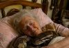 j😨 Eine 75-jährige Frau hielt drei Jahre lang einen riesigen Python in ihrem Haus, bis die Schlange eines Tages begann, jede Nacht in ihr Bett zu kriechen und sich um ihren Körper zu wickeln. Die ältere Frau glaubte, dies sei ein Zeichen von Zuneigung. Doch als ihre Tochter, die als Tierärztin arbeitete, zu Besuch kam und das Verhalten der Schlange bemerkte, bekam sie große Angst und bat ihre Mutter sofort, nicht länger neben dem Python zu schlafen.