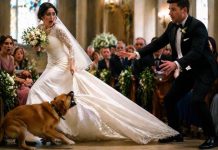 Während der Hochzeit packte der Hund mit seinen Zähnen den Saum des Brautkleides und begann wie wild zu bellen: Alle dachten, der Hund sei einfach verrückt geworden, bis das hier geschah … 😨😱 😨😱