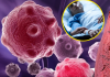 8 Lebensmittel, die Entzündungen reduzieren und das Immunsystem stärken – der perfekte Start in den Tag